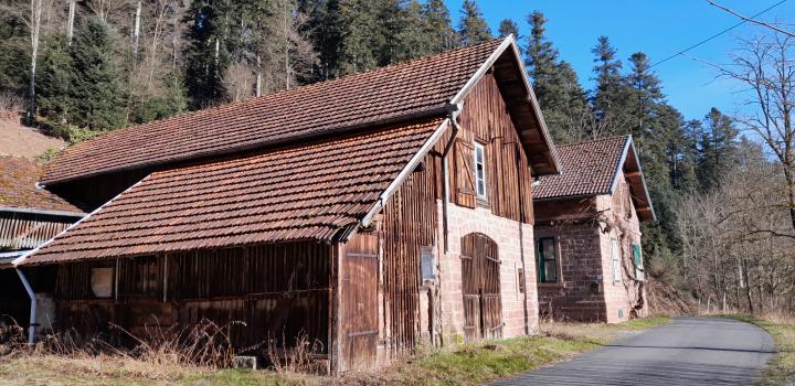 Photo décrivant le bien Maison Forestière 158m² à Walscheid (57)