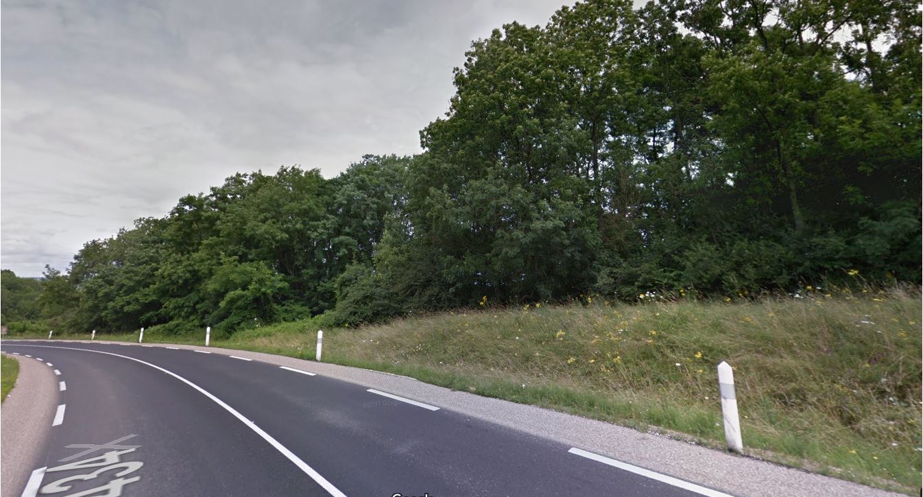 Photo décrivant le bien Parcelle Boisée