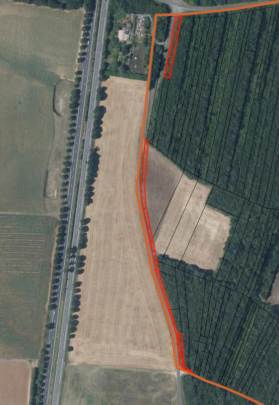 Photo décrivant le bien Parcelles En Nature De Bois Taillis