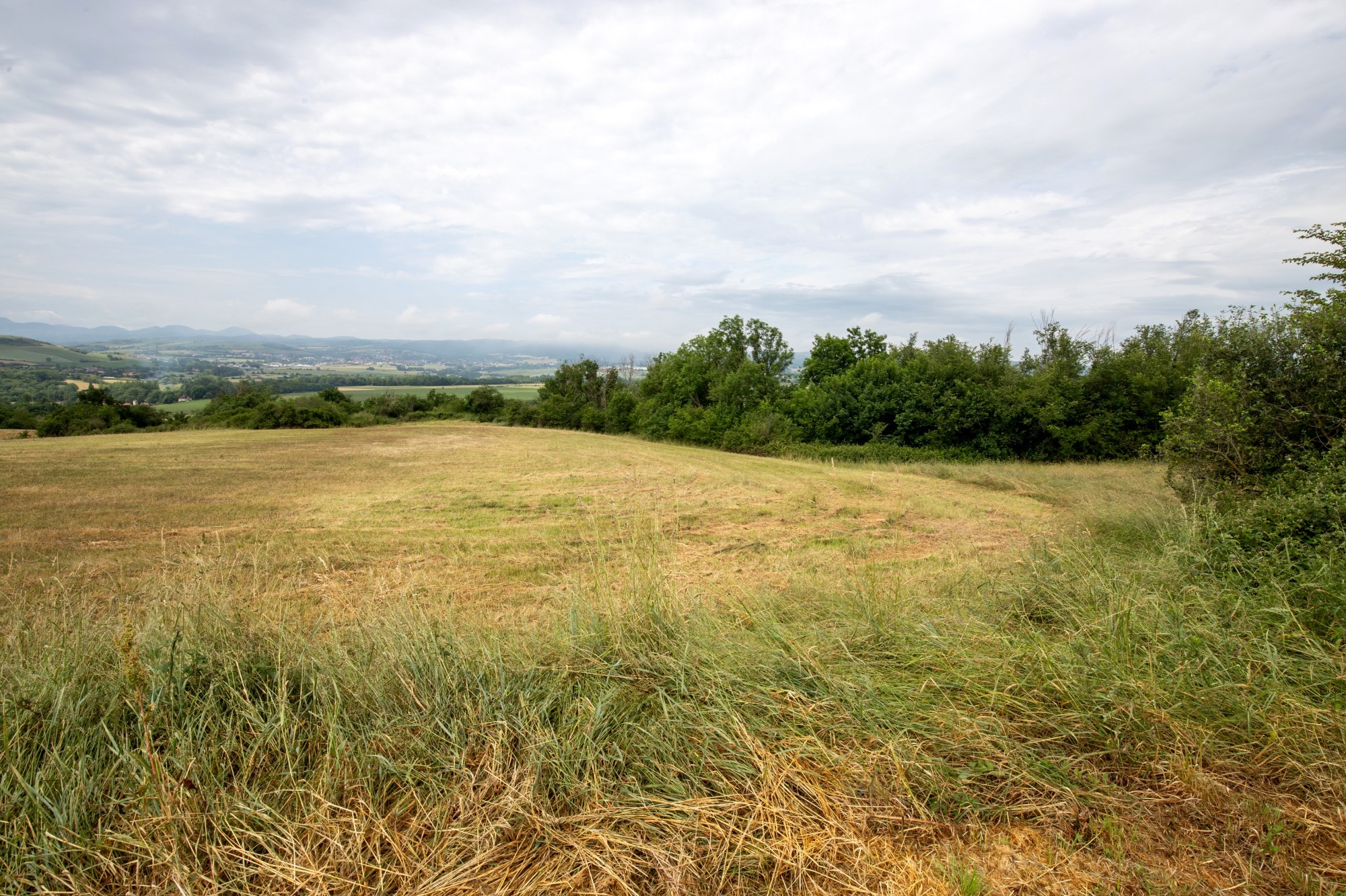Photo décrivant le bien Terre Agricole à Vendre à Artonne (63)