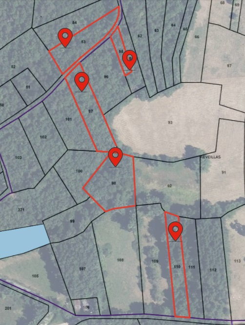 Photo décrivant le bien Lot De 5 Parcelles De Forêts