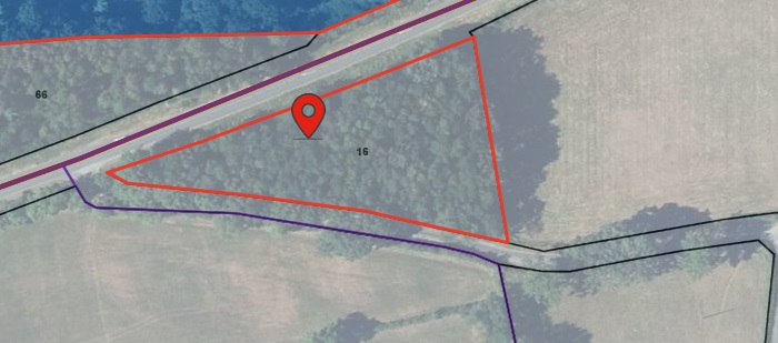 Photo décrivant le bien Cession De Parcelles Boisées à Yzeure (03321)