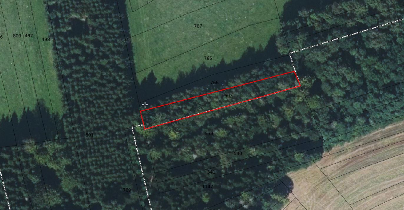 Vue satellite de la parcelle