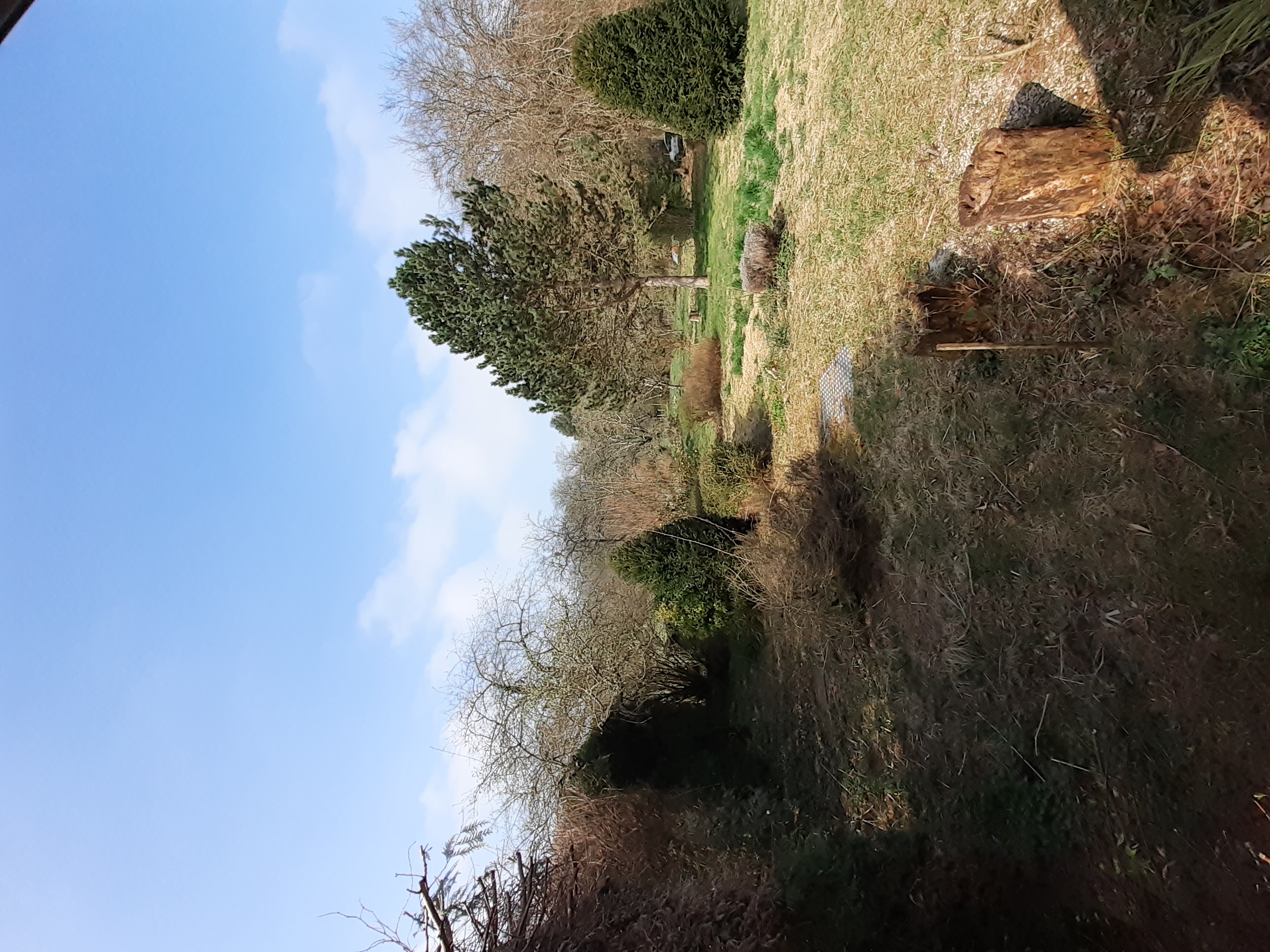 Photo décrivant le bien Vente Maison Forestière De Mortefert Villers Cotterêts La Ferté Milon à Une Heure De Paris