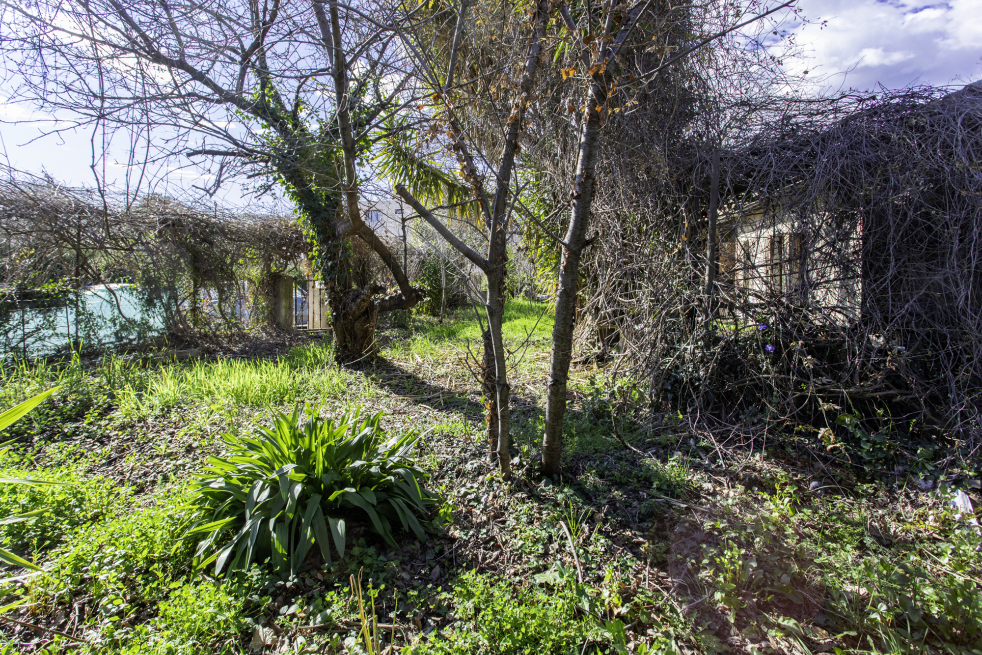 Photo décrivant le bien Parcelle De Terrain De 689 M² Avec Maison Vétuste à Vence 06