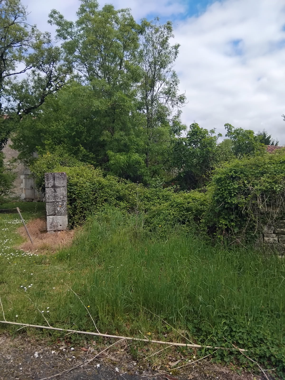 Photo décrivant le bien Maison En Ruine Et Une Parcelle Nue