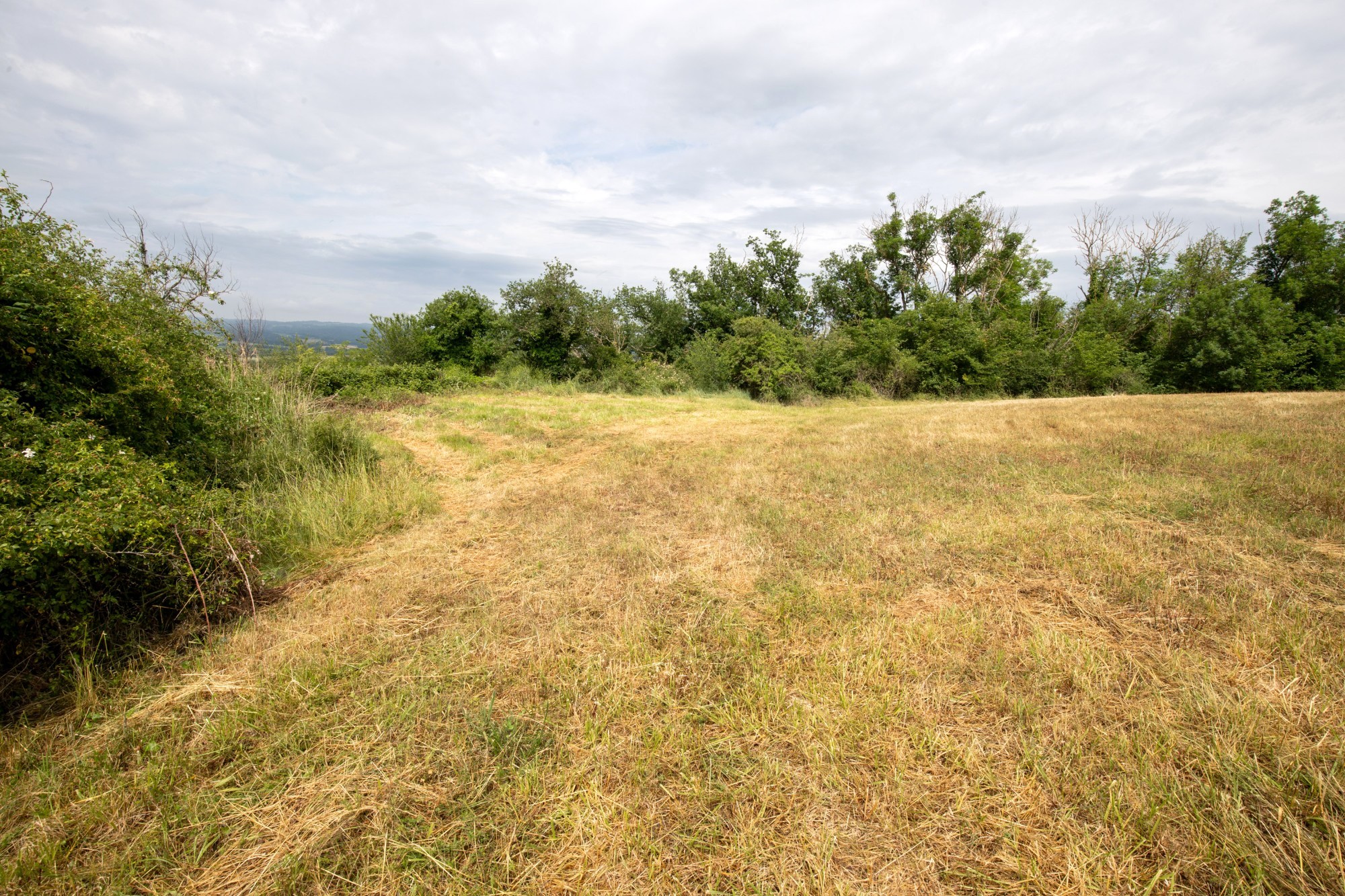 Photo décrivant le bien Terre Agricole à Vendre à Artonne (63)
