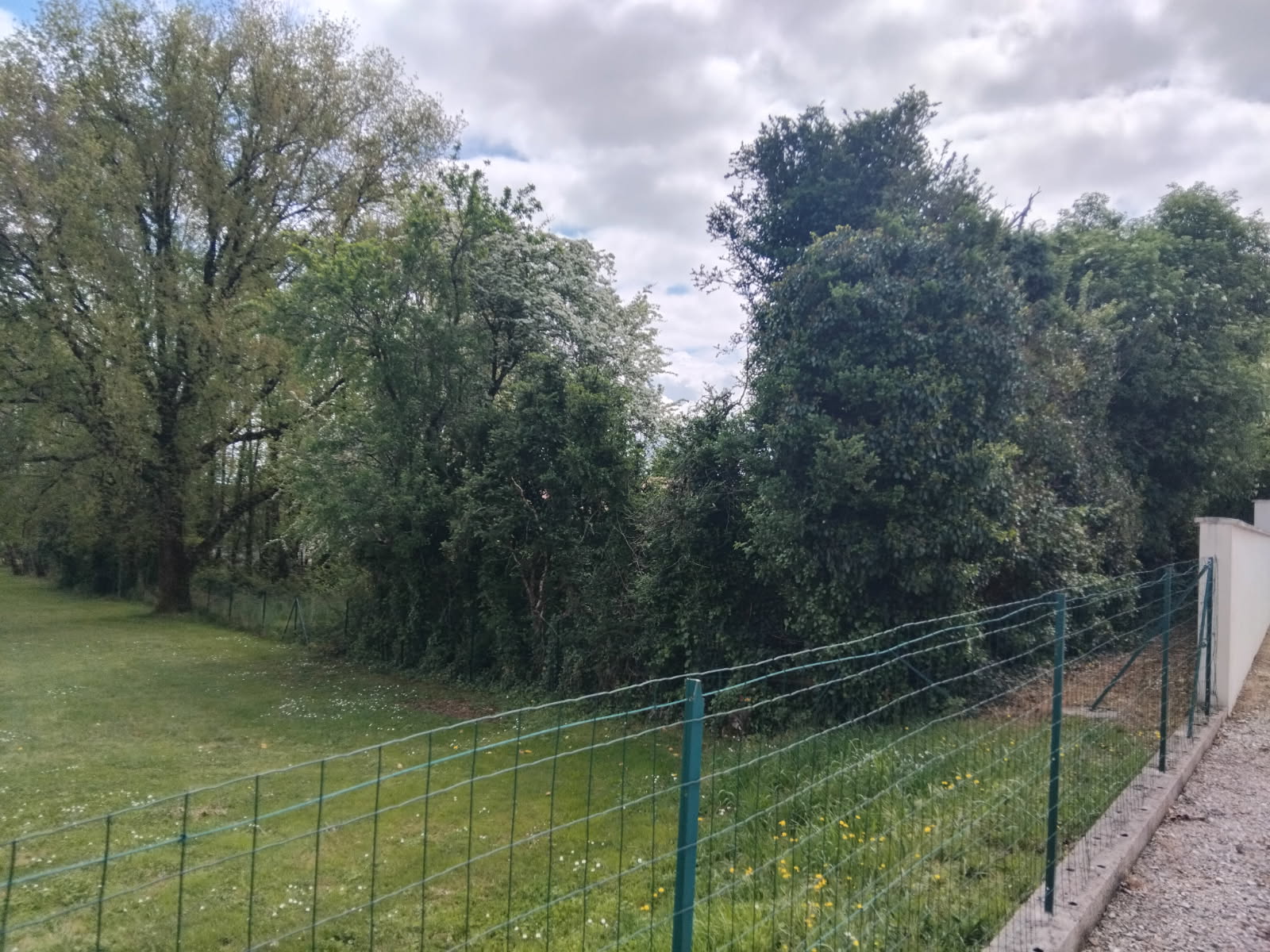 Photo décrivant le bien Maison En Ruine Et Une Parcelle Nue