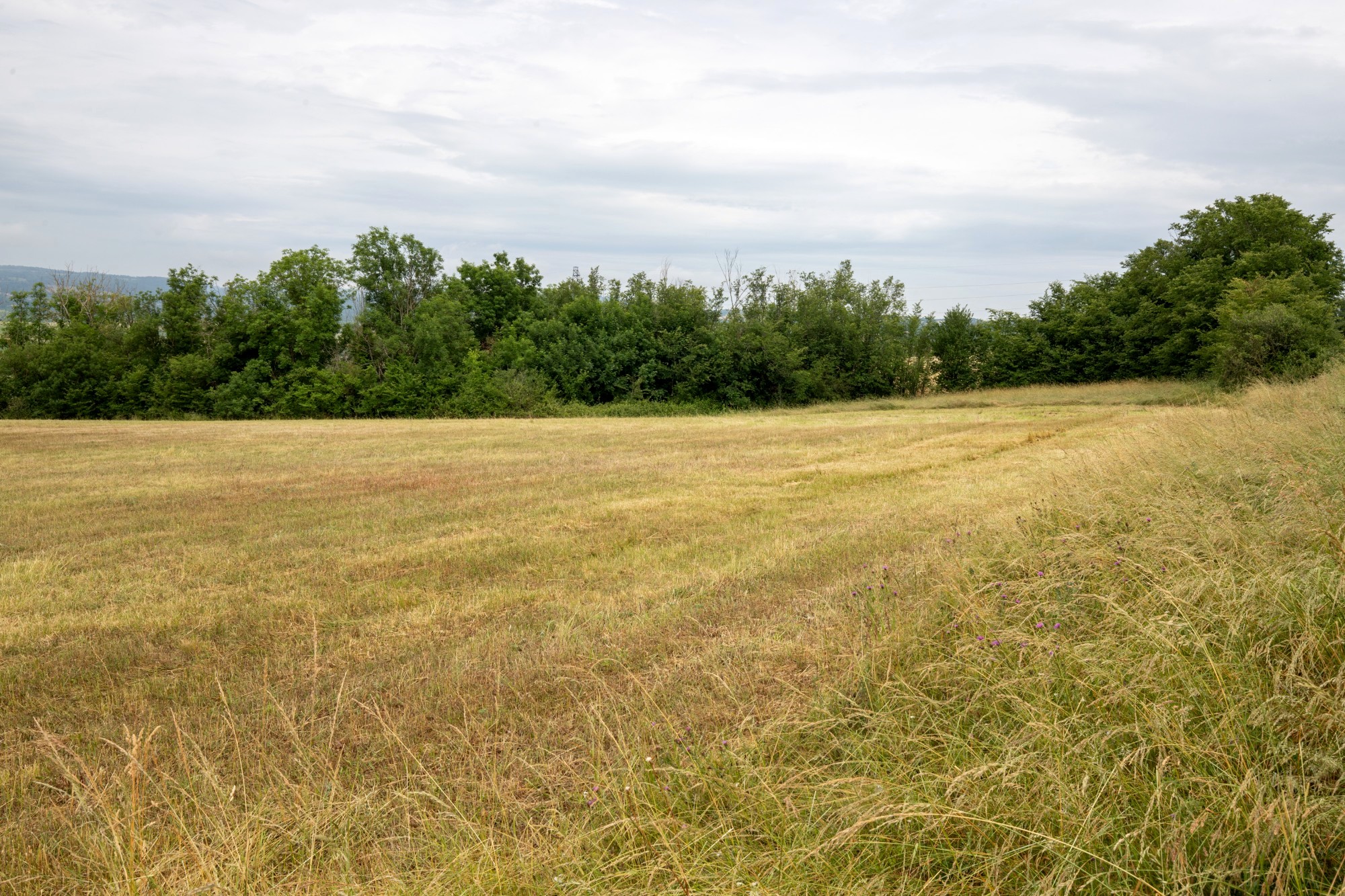 Photo décrivant le bien Terre Agricole à Vendre à Artonne (63)