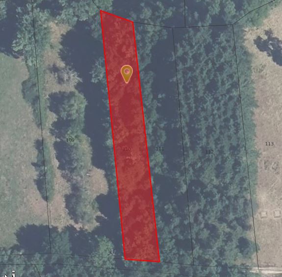 Photo décrivant le bien Lot De 5 Parcelles De Forêts