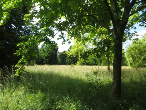 Photo décrivant le bien Cité Cadre Saint-martin à Châlons-en-champagne