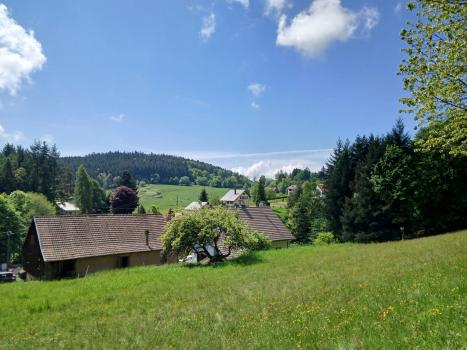 Photo décrivant le bien Maison Forestiere - Le Hohwald