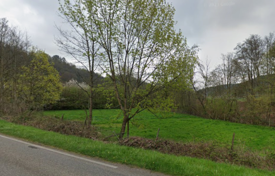 Photo décrivant le bien Terre Naturelle- 2194m²- Heiligenberg (67)