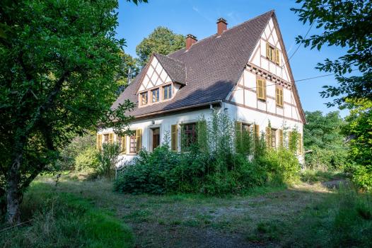 Photo décrivant le bien Maison Forestière à Baldersheim (68)