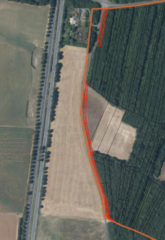 Photo décrivant le bien Parcelles En Nature De Bois Taillis
