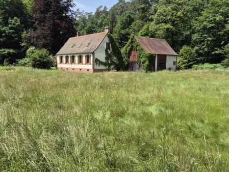 Photo décrivant le bien Maison Forestière De 141 M2 Habitables