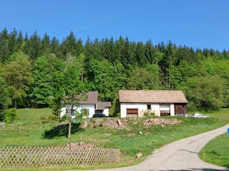 Photo décrivant le bien Maison Forestiere - Le Hohwald