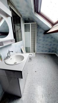 Photo décrivant le bien Maison D'habitation à Vendre, Avec Garage Et Jardin, Proche Du Jardin Des Plantes