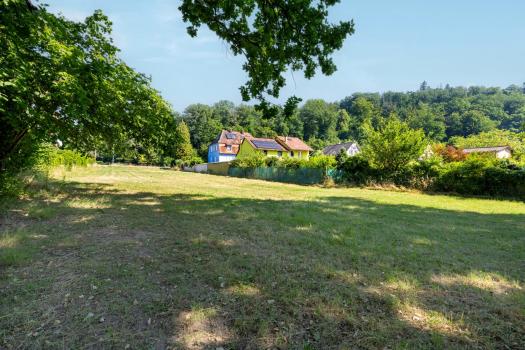 Photo décrivant le bien Terrain- 2694 M²- Heiligenberg(67)