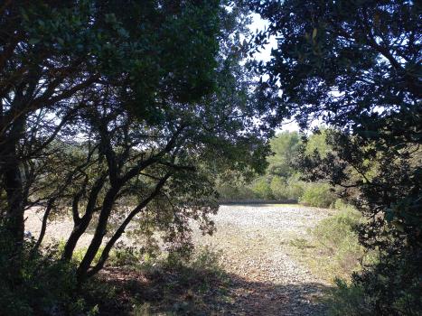Photo décrivant le bien Terrain Naturel Avec Ancien Ouvrage Militaire