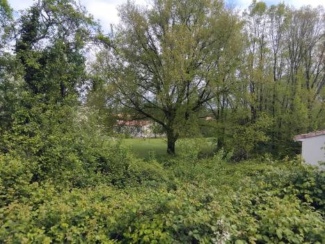 Photo décrivant le bien Maison En Ruine Et Une Parcelle Nue