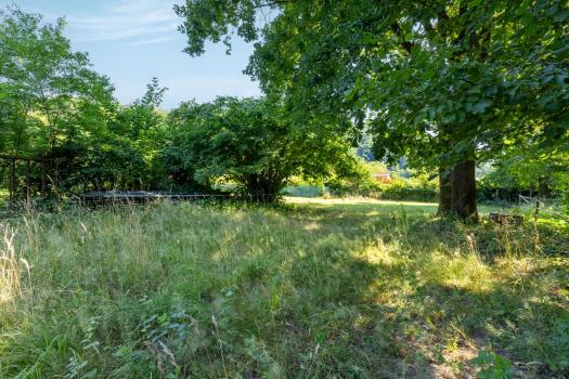 Photo décrivant le bien Terrain- 2694 M²- Heiligenberg(67)