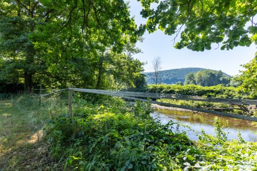 Photo décrivant le bien Terrain- 2694 M²- Heiligenberg(67)