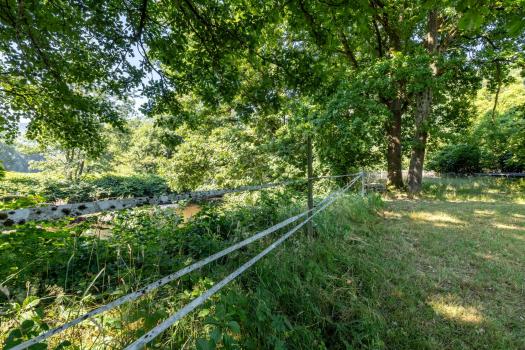 Photo décrivant le bien Terrain- 2694 M²- Heiligenberg(67)